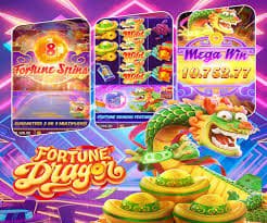 ds 160 Big Win Rooms